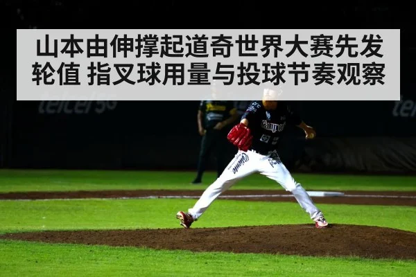 baseball pitcher windup stadium night